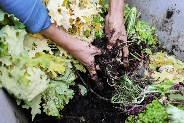 Réalisation d'un compost dans le jardin : voici comment faire